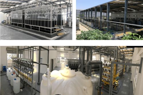 全国煤炭与煤化工环境治理及保护大会暨生物化工产品技术研发研讨会预通知