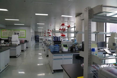亿元级加码分子育种 博瑞迪生物完成A轮融资，持续深耕动植物育种底层技术