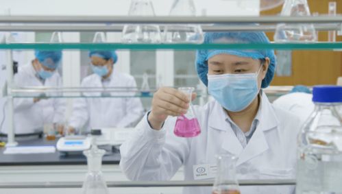 坚守产品质量，加快自主研发——走进尚赫生产研发基地的科技与匠心之旅