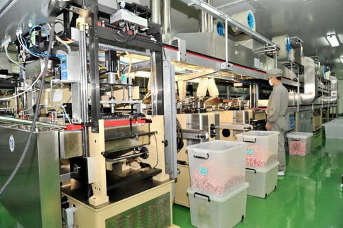 榆社强势启动27.6亿元投资，38个重点项目聚焦生物化工技术研发