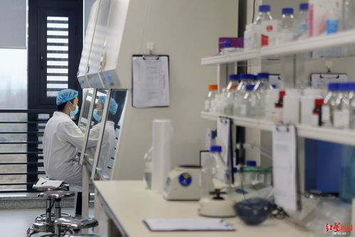 战疫时刻，生物化工技术研发展现成都真实城市精神