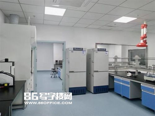 张江药谷衡谷1976 环评齐全3000平可分割试验研发空间出租