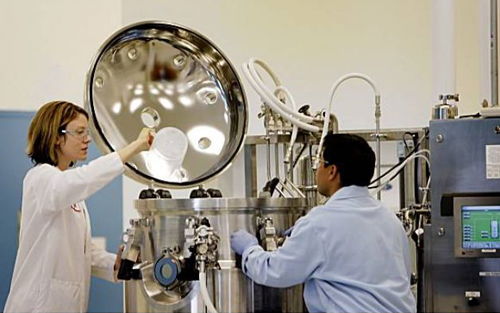 Amyris 美国工业生物技术先锋的衰落样本