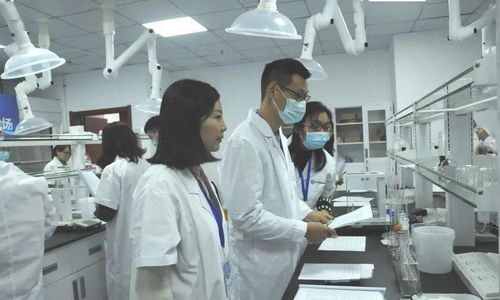 生物医药技能大赛圆满落幕，生物化工产品技术研发成果斐然